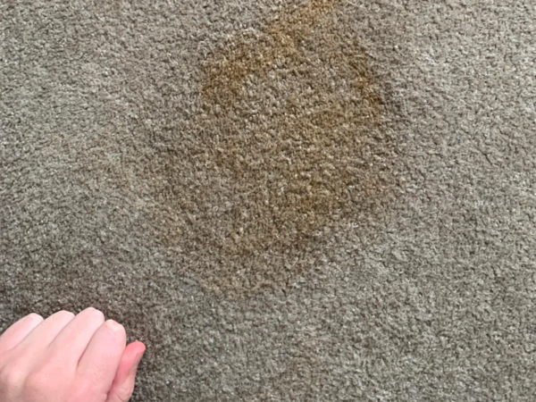 How to Revive Old Carpet: A Complete Guide - DC Carpet Care